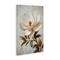 Stupell Industries Open White Magnolia Flower Canvas, design by Petal Prints Design